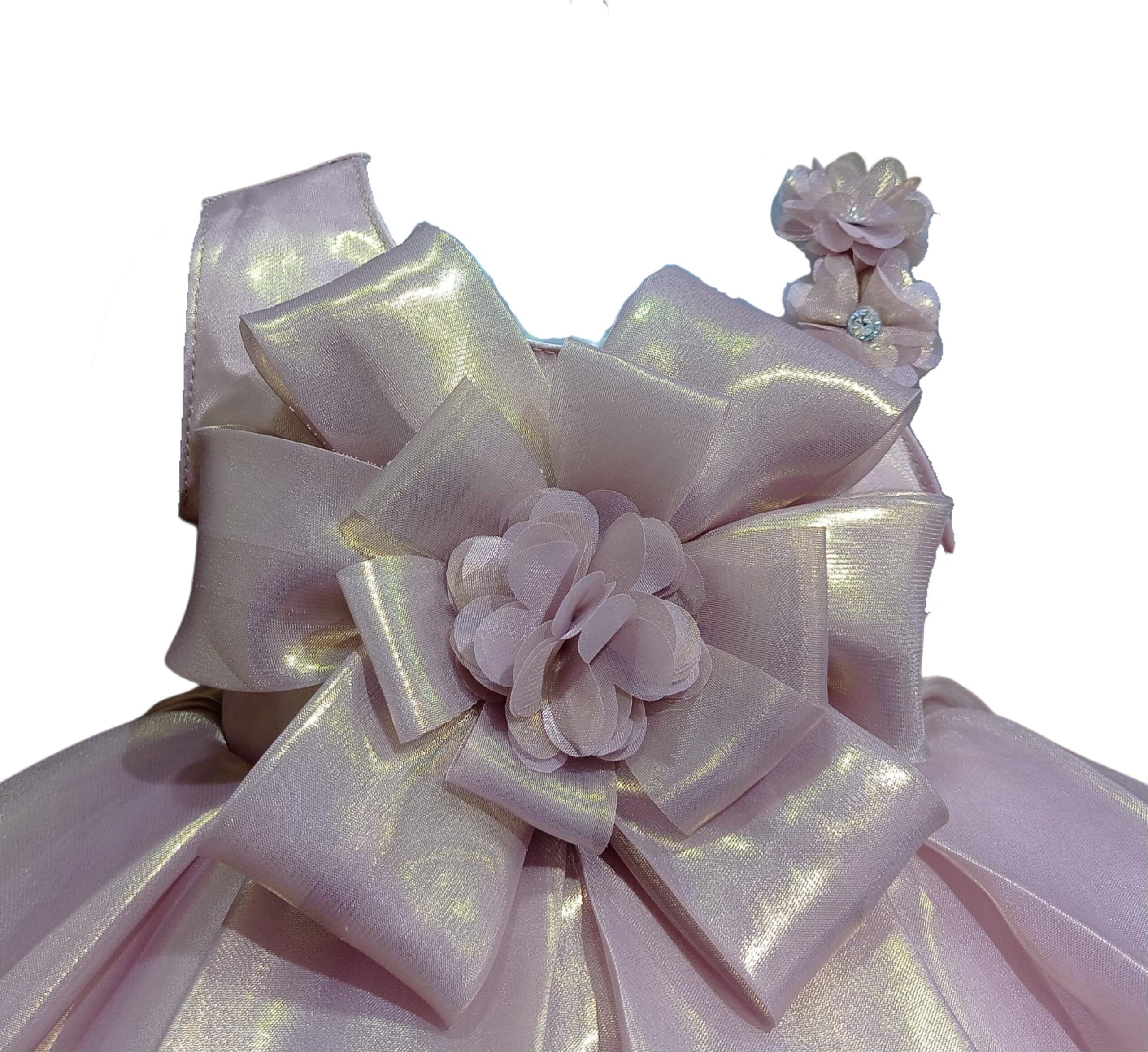 DeeVee Creations New Baby Girl Champagne Shimmer Organza Party Dress with Floral Bow - Image 3